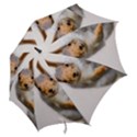 Curious Squirrel Hook Handle Umbrellas (Medium) View2