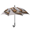 Curious Squirrel Hook Handle Umbrellas (Medium) View3