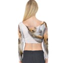 Curious Squirrel Long Sleeve Crop Top View2