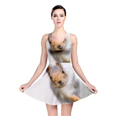 Curious Squirrel Reversible Skater Dress by FunnyCow