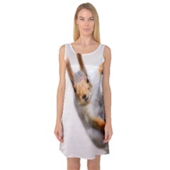 Curious Squirrel Sleeveless Satin Nightdress by FunnyCow