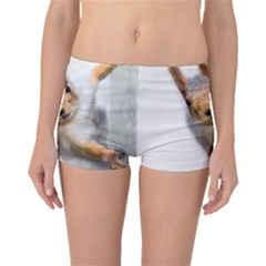 Curious Squirrel Boyleg Bikini Bottoms by FunnyCow