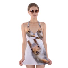 Curious Squirrel Halter Dress Swimsuit  by FunnyCow