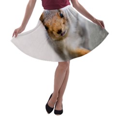 Curious Squirrel A-line Skater Skirt by FunnyCow