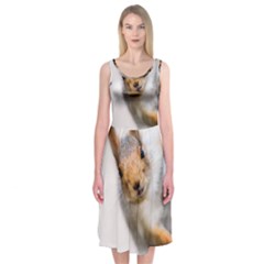 Curious Squirrel Midi Sleeveless Dress by FunnyCow