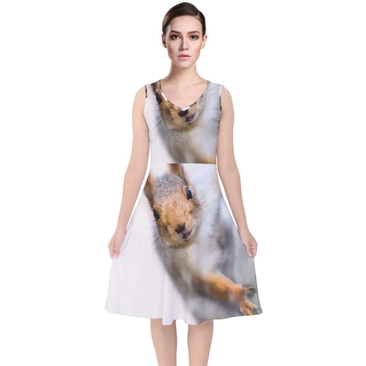 Curious Squirrel V-Neck Midi Sleeveless Dress 