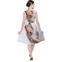 Curious Squirrel V-Neck Midi Sleeveless Dress  View2