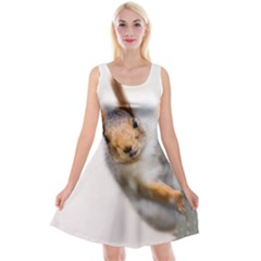 Curious Squirrel Reversible Velvet Sleeveless Dress by FunnyCow