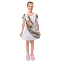 Curious Squirrel Kids  Short Sleeve Velvet Dress by FunnyCow