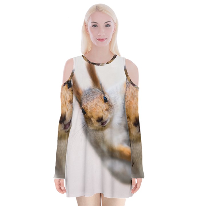 Curious Squirrel Velvet Long Sleeve Shoulder Cutout Dress