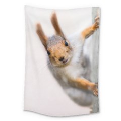 Curious Squirrel Large Tapestry by FunnyCow