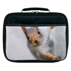 Curious Squirrel Lunch Bag by FunnyCow