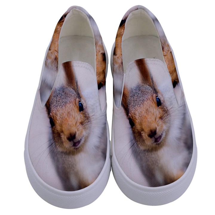 Curious Squirrel Kids  Canvas Slip Ons