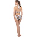 Curious Squirrel Halter Side Cut Swimsuit View2