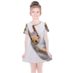 Curious Squirrel Kids  Simple Cotton Dress by FunnyCow