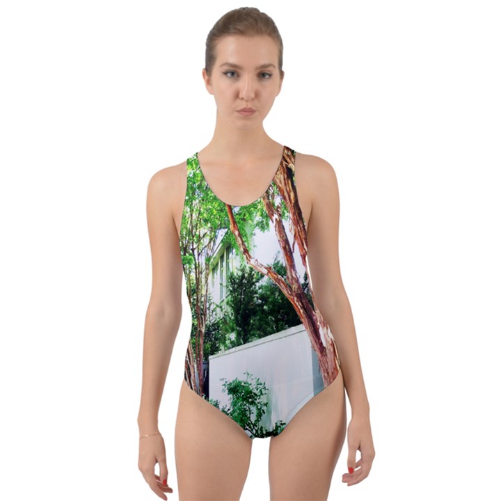 Hot Day In Dallas 40 Cut-Out Back One Piece Swimsuit