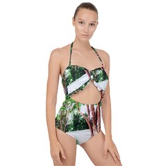 Hot Day In Dallas 40 Scallop Top Cut Out Swimsuit