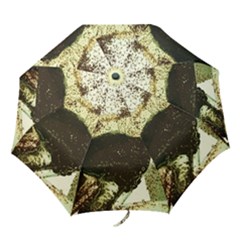 There Is No Promissed Rain 3jpg Folding Umbrellas by bestdesignintheworld