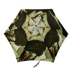 There Is No Promissed Rain 3jpg Mini Folding Umbrellas by bestdesignintheworld