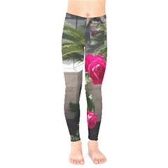 Balboa 5 Kids  Legging