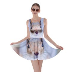 Squirrel Looks At You Skater Dress by FunnyCow