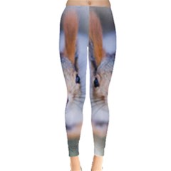 Squirrel Looks At You Leggings  by FunnyCow