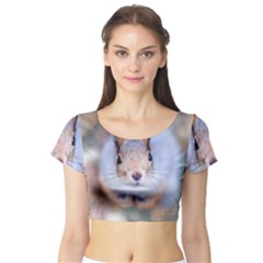 Squirrel Looks At You Short Sleeve Crop Top