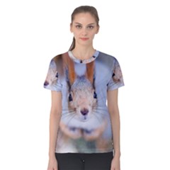 Squirrel Looks At You Women s Cotton Tee