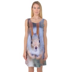 Squirrel Looks At You Sleeveless Satin Nightdress