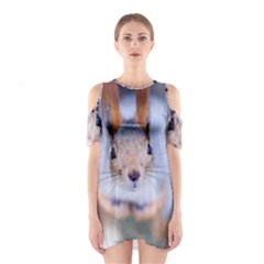 Squirrel Looks At You Shoulder Cutout One Piece