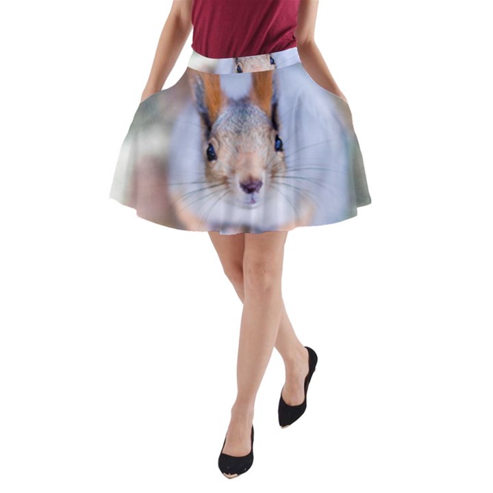 Squirrel Looks At You A-Line Pocket Skirt