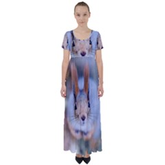 Squirrel Looks At You High Waist Short Sleeve Maxi Dress