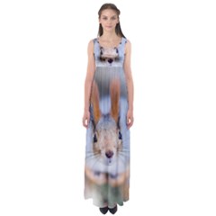 Squirrel Looks At You Empire Waist Maxi Dress