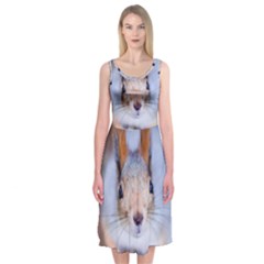 Squirrel Looks At You Midi Sleeveless Dress