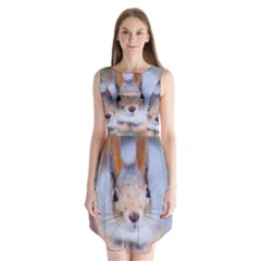 Squirrel Looks At You Sleeveless Chiffon Dress  