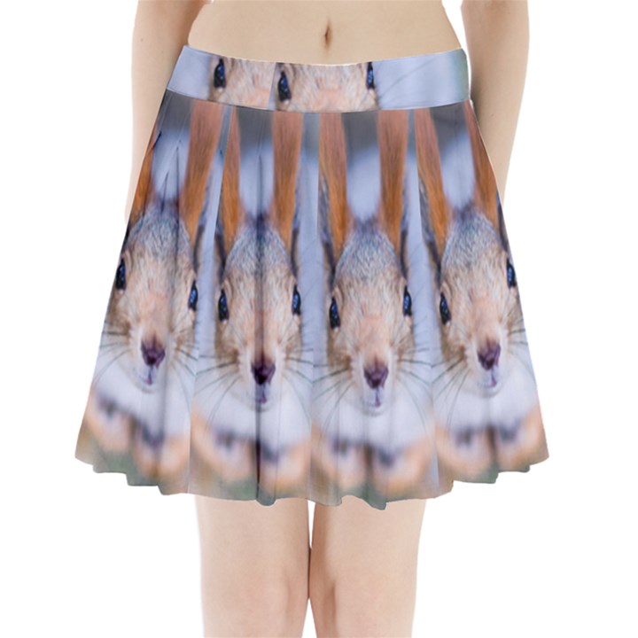 Squirrel Looks At You Pleated Mini Skirt