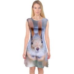 Squirrel Looks At You Capsleeve Midi Dress