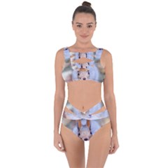 Squirrel Looks At You Bandaged Up Bikini Set 