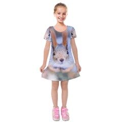 Squirrel Looks At You Kids  Short Sleeve Velvet Dress by FunnyCow