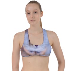 Squirrel Looks At You Criss Cross Racerback Sports Bra