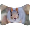 Squirrel Looks At You Seat Head Rest Cushion View1