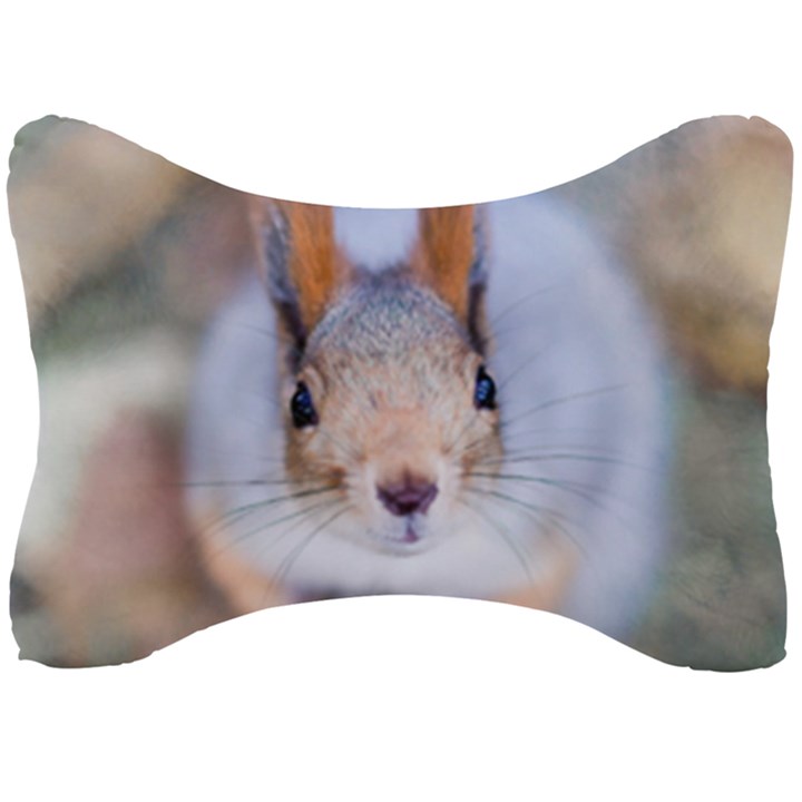 Squirrel Looks At You Seat Head Rest Cushion