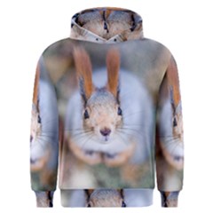 Squirrel Looks At You Men s Overhead Hoodie