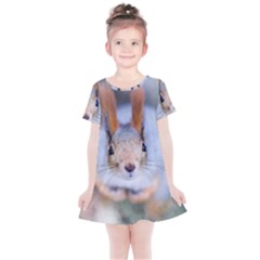 Squirrel Looks At You Kids  Simple Cotton Dress by FunnyCow