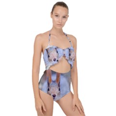 Squirrel Looks At You Scallop Top Cut Out Swimsuit