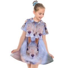 Squirrel Looks At You Kids  Short Sleeve Shirt Dress