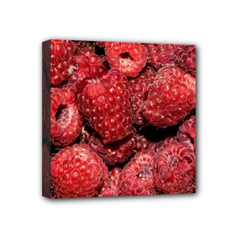 Red Raspberries Mini Canvas 4  X 4  by FunnyCow