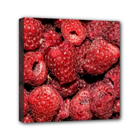 Red Raspberries Mini Canvas 6  X 6  by FunnyCow