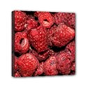 Red Raspberries Mini Canvas 6  x 6  View1