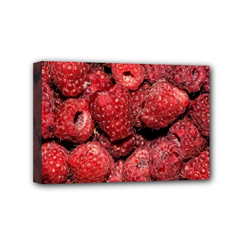 Red Raspberries Mini Canvas 6  X 4  by FunnyCow